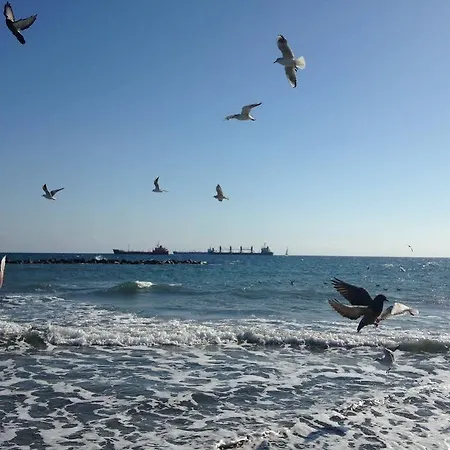 Kanika Sea Forum No. 106 דירה