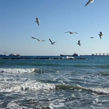 Kanika Sea Forum No. 106 דירה *